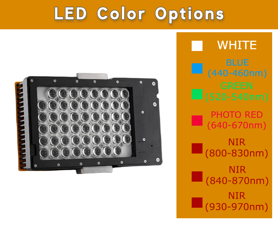 プレイステーションvite WestJet variety pack from mid-August at YYZ! aircraft in