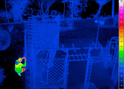 InfraTec ImageIR Surveillance of a garden.